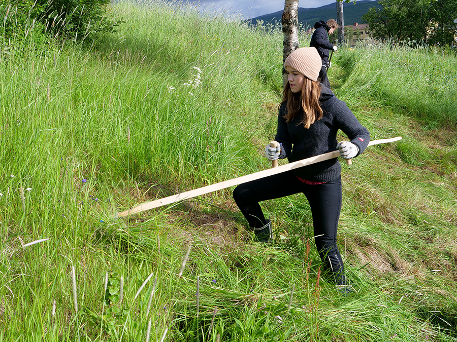 Caroline Røste slår gresset på gamlemåten med ljå. Foto: Iver Waldahl Lillegjære