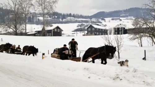 Fron Lasskjørarlag på vei til Rørosmartnan. Foto: Tove Østby Fron Lasskjørarlag