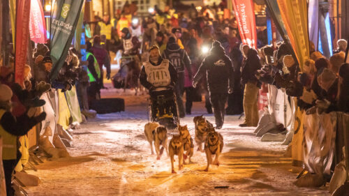 I går ble kanskje flere drømmer om å bli med i Femundløpet skapt på Elverum.
Foto Aleksander Galak Femundløpet