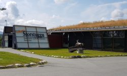 Påmeldingen er så stor at generalforsamlingen er flyttet fra Ren Røros sitt møterom i Osloveien til Storstuggu.
Foto: Tove Østby