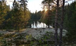 Natur. Illustrasjonsbilde. Foto: Tove Østby