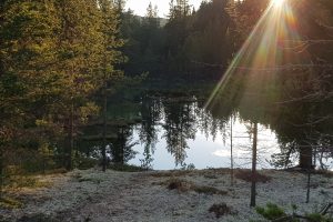 Illustrasjonsbilde. Foto: Tove Østby