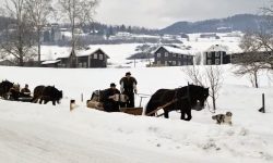Fron Lasskjørarlag på vei til Rørosmartnan. Foto: Tove Østby