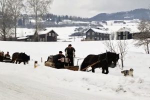 Fron Lasskjørarlag på vei til Rørosmartnan. Foto: Tove Østby