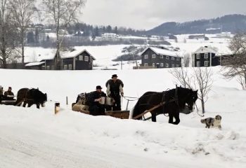 Fron Lasskjørarlag på vei til Rørosmartnan. Foto: Tove Østby