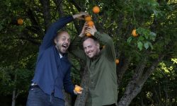 Mandarinsaft. Foto: Siri Buran Kaldal