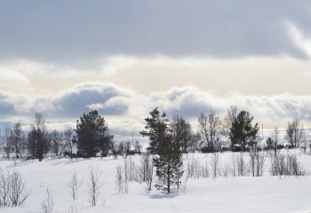 Det er variert natur i Røros.
Foto: Tore Østby