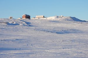 Øvre Storwartz
Foto: Tore Østby