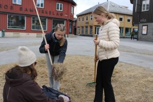 Elever raket parken til 17. mai. Foto: Tove Østby